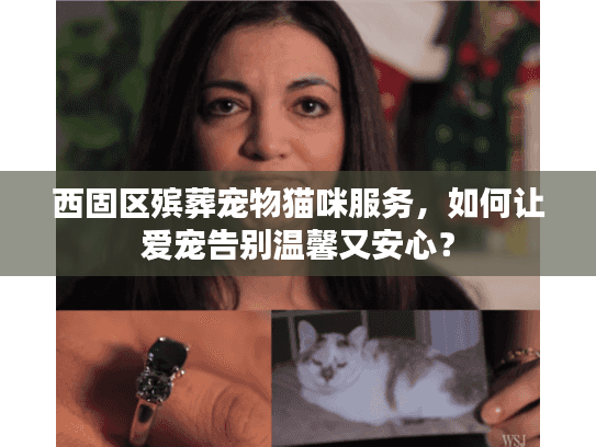 西固区殡葬宠物猫咪服务，如何让爱宠告别温馨又安心？