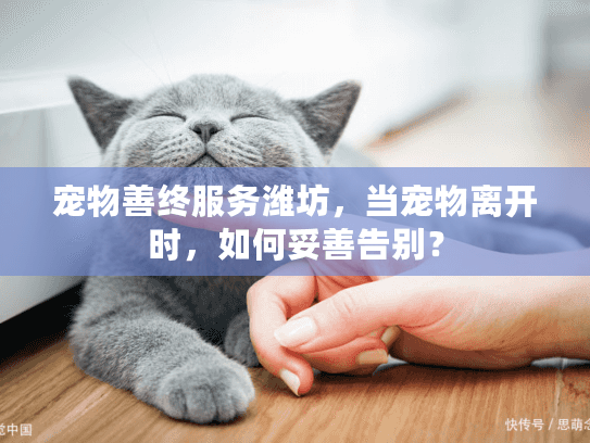 宠物善终服务潍坊，当宠物离开时，如何妥善告别？