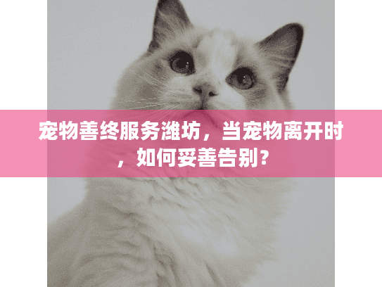 宠物善终服务潍坊，当宠物离开时，如何妥善告别？