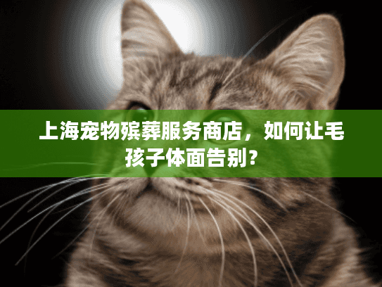 上海宠物殡葬服务商店，如何让毛孩子体面告别？