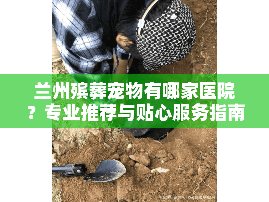 兰州殡葬宠物有哪家医院？专业推荐与贴心服务指南