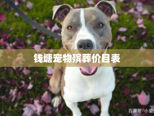 钱塘宠物殡葬价目表