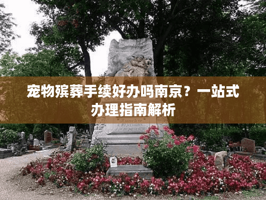宠物殡葬手续好办吗南京？一站式办理指南解析