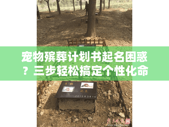 宠物殡葬计划书起名困惑？三步轻松搞定个性化命名方案