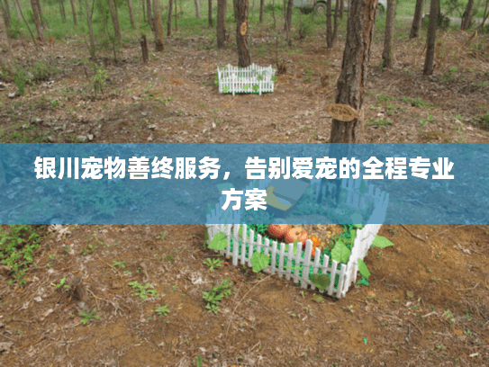 银川宠物善终服务，告别爱宠的全程专业方案