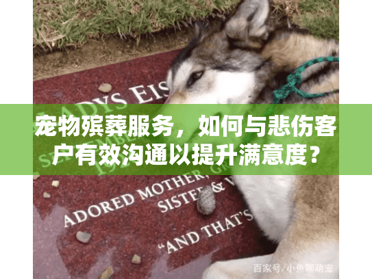宠物殡葬服务，如何与悲伤客户有效沟通以提升满意度？
