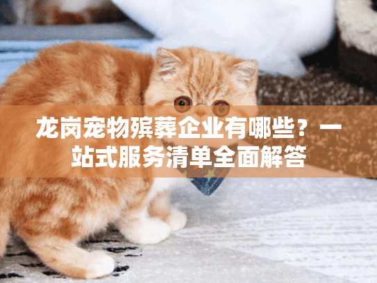 龙岗宠物殡葬企业有哪些？一站式服务清单全面解答