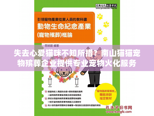 失去心爱猫咪不知所措？南山猫猫宠物殡葬企业提供专业宠物火化服务