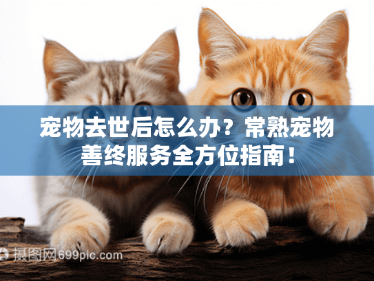 宠物去世后怎么办？常熟宠物善终服务全方位指南！