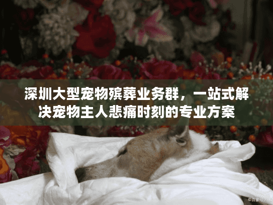 深圳大型宠物殡葬业务群，一站式解决宠物主人悲痛时刻的专业方案