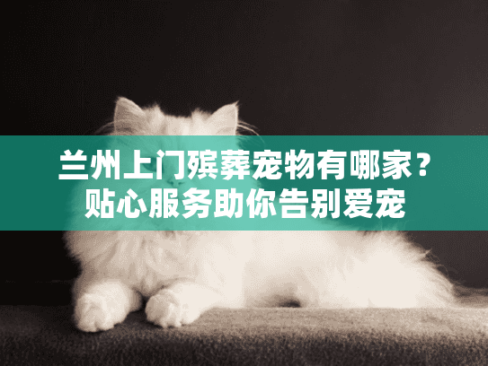 兰州上门殡葬宠物有哪家？贴心服务助你告别爱宠