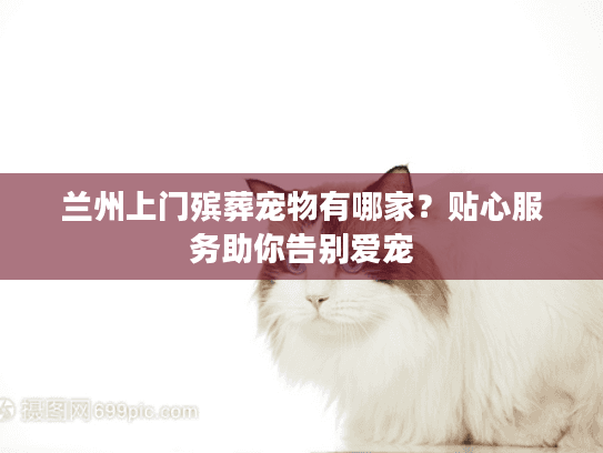 兰州上门殡葬宠物有哪家？贴心服务助你告别爱宠