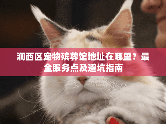 涧西区宠物殡葬馆地址在哪里？最全服务点及避坑指南