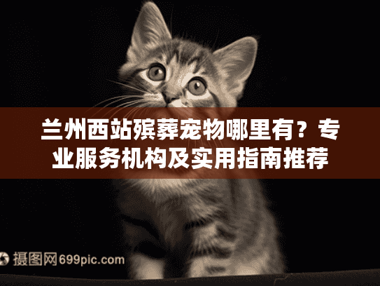 兰州西站殡葬宠物哪里有？专业服务机构及实用指南推荐