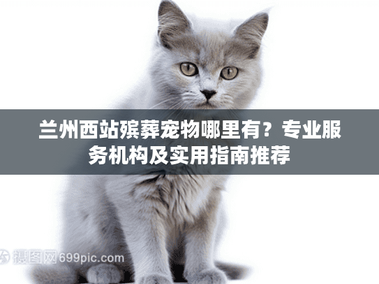 兰州西站殡葬宠物哪里有？专业服务机构及实用指南推荐