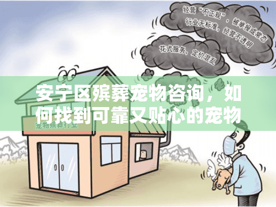 安宁区殡葬宠物咨询，如何找到可靠又贴心的宠物告别服务？
