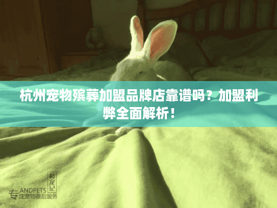 杭州宠物殡葬加盟品牌店靠谱吗？加盟利弊全面解析！