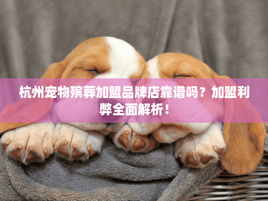 杭州宠物殡葬加盟品牌店靠谱吗？加盟利弊全面解析！