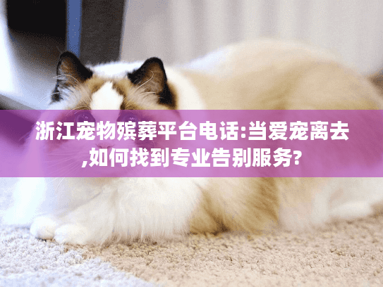 浙江宠物殡葬平台电话:当爱宠离去,如何找到专业告别服务?