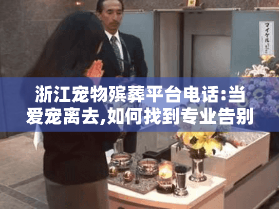 浙江宠物殡葬平台电话:当爱宠离去,如何找到专业告别服务?