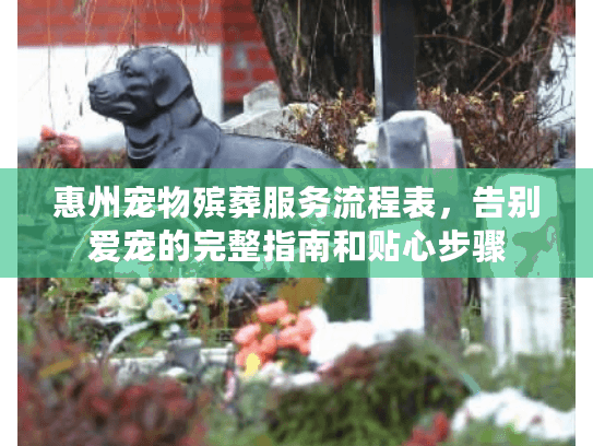 惠州宠物殡葬服务流程表，告别爱宠的完整指南和贴心步骤