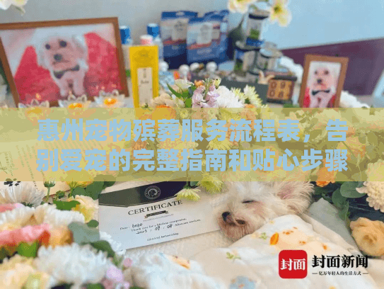 惠州宠物殡葬服务流程表,告别爱宠的完整指南和贴心步骤