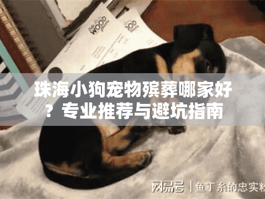 珠海小狗宠物殡葬哪家好？专业推荐与避坑指南