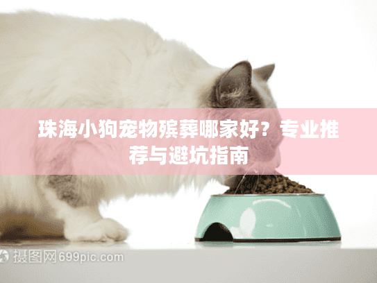 珠海小狗宠物殡葬哪家好？专业推荐与避坑指南