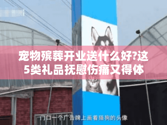 宠物殡葬开业送什么好?这5类礼品抚慰伤痛又得体