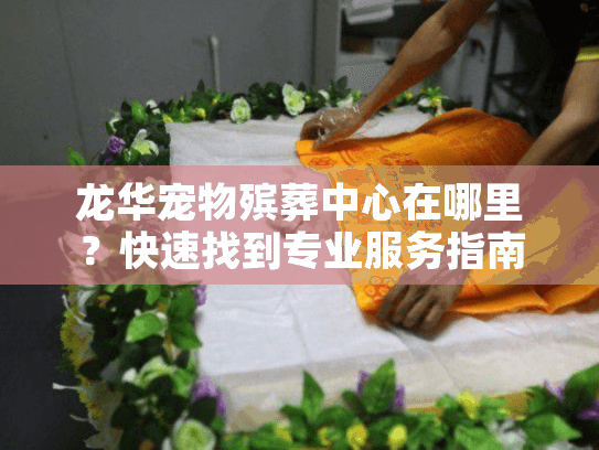 龙华宠物殡葬中心在哪里？快速找到专业服务指南
