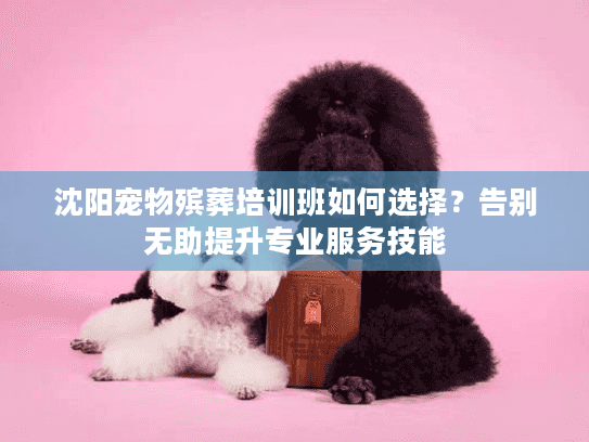 沈阳宠物殡葬培训班如何选择？告别无助提升专业服务技能