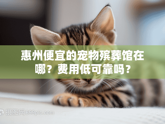 惠州便宜的宠物殡葬馆在哪？费用低可靠吗？