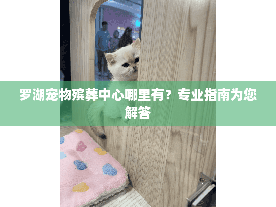 罗湖宠物殡葬中心哪里有？专业指南为您解答