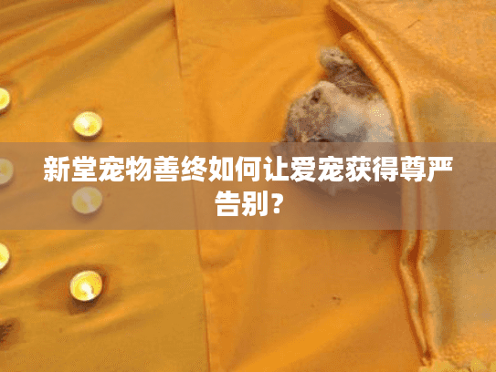 新堂宠物善终如何让爱宠获得尊严告别？