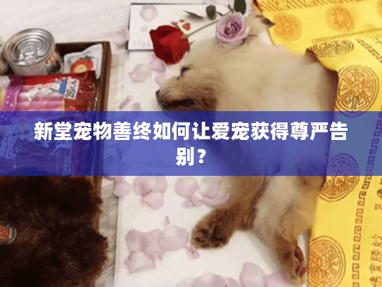 新堂宠物善终如何让爱宠获得尊严告别?