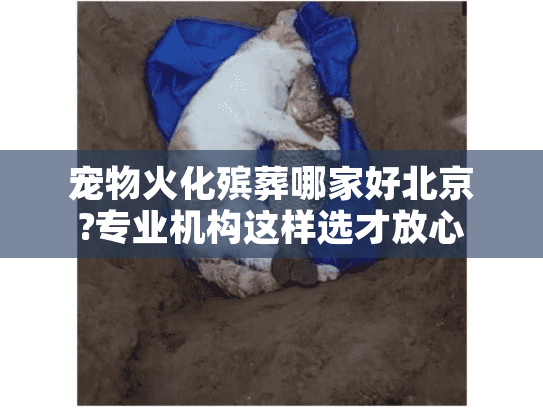 宠物火化殡葬哪家好北京?专业机构这样选才放心