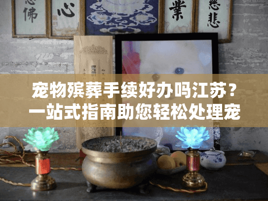 宠物殡葬手续好办吗江苏？一站式指南助您轻松处理宠物身后事
