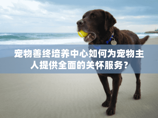 宠物善终培养中心如何为宠物主人提供全面的关怀服务？