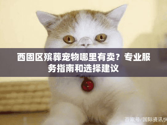 西固区殡葬宠物哪里有卖？专业服务指南和选择建议
