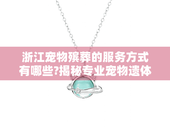 浙江宠物殡葬的服务方式有哪些?揭秘专业宠物遗体告别流程