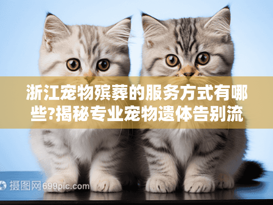 浙江宠物殡葬的服务方式有哪些?揭秘专业宠物遗体告别流程
