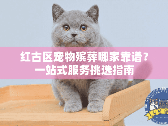 红古区宠物殡葬哪家靠谱？一站式服务挑选指南