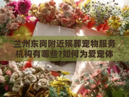 兰州东岗附近殡葬宠物服务机构有哪些?如何为爱宠体面送别?