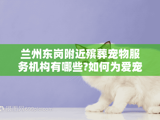 兰州东岗附近殡葬宠物服务机构有哪些?如何为爱宠体面送别?