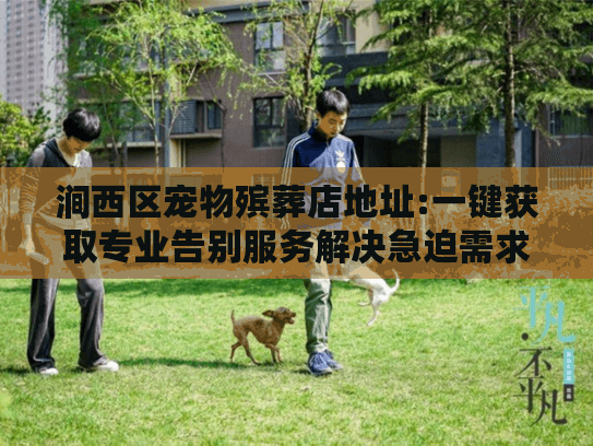 涧西区宠物殡葬店地址:一键获取专业告别服务解决急迫需求