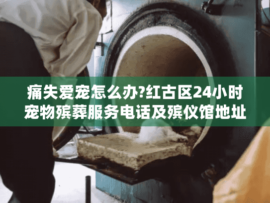 痛失爱宠怎么办?红古区24小时宠物殡葬服务电话及殡仪馆地址全指南
