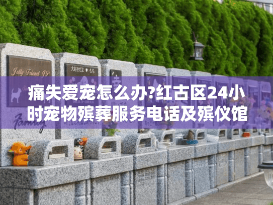 痛失爱宠怎么办?红古区24小时宠物殡葬服务电话及殡仪馆地址全指南