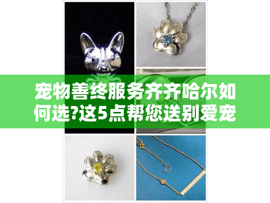 宠物善终服务齐齐哈尔如何选?这5点帮您送别爱宠最后一程