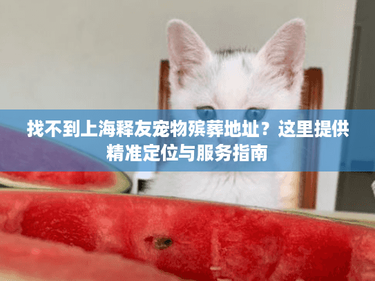 找不到上海释友宠物殡葬地址？这里提供精准定位与服务指南