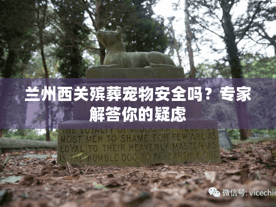 兰州西关殡葬宠物安全吗？专家解答你的疑虑